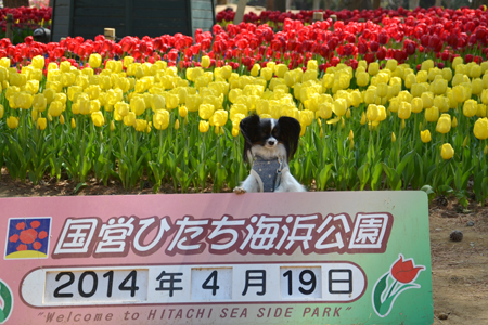 14042115.jpg