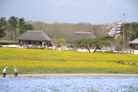 14042144.jpg