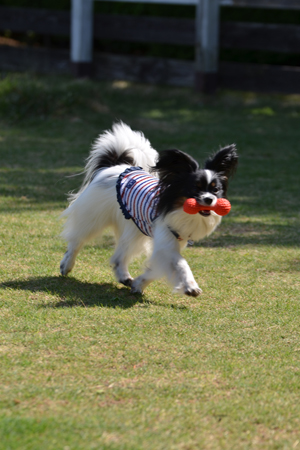 14051114.jpg