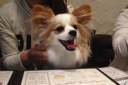 14051331.jpg
