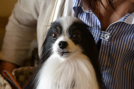 15050506.jpg