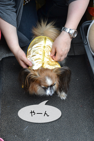 15050512.jpg
