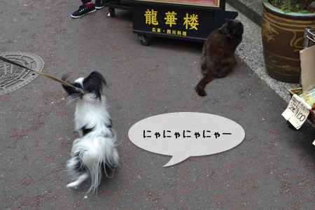 15050515.jpg