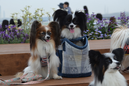 15050532.jpg