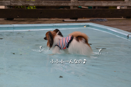 15072114.jpg
