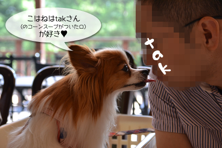 15081344.jpg