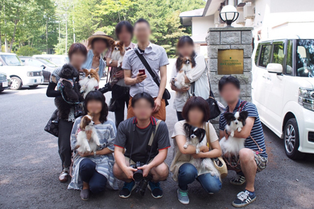 15081354.jpg