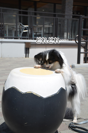 18060314.jpg