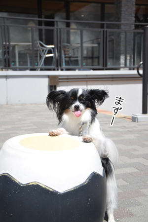 18060315.jpg