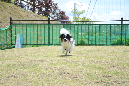 18060329.jpg