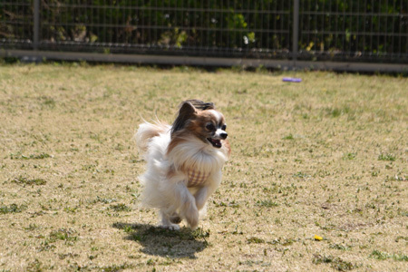 19050702.jpg