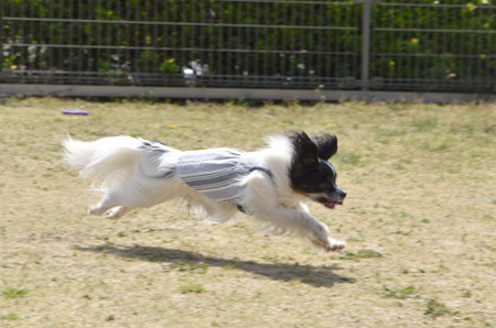 19050708.jpg