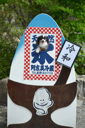 19060905.jpg