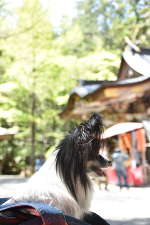 19060919.jpg