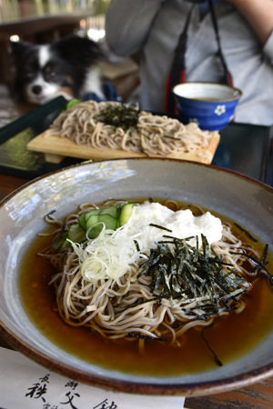 19060930.jpg