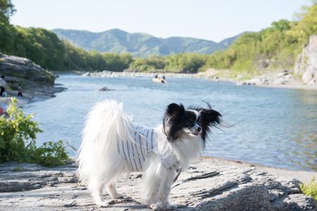 19060936.jpg