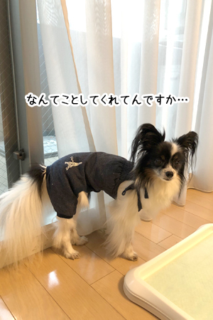 19062101.jpg