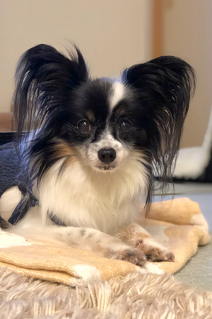 19062102.jpg