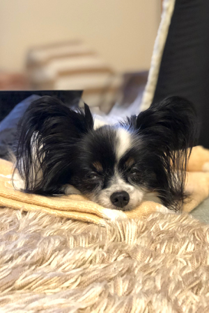 19062103.jpg