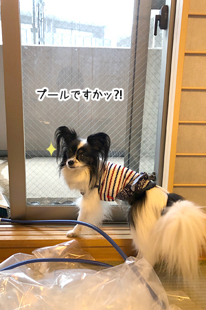 19062301.jpg