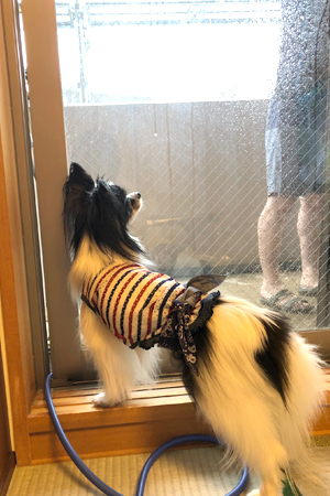 19062302.jpg