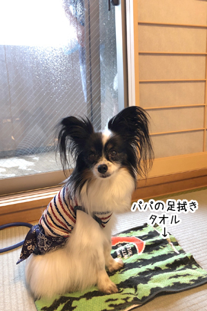 19062304.jpg