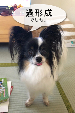 19062401.jpg