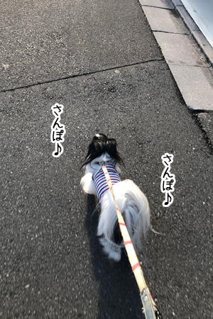 19062402.jpg