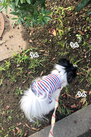 19062403.jpg