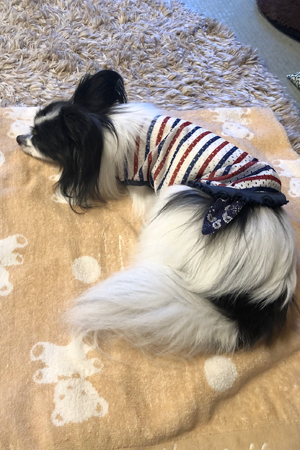 19062404.jpg