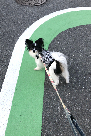 19062501.jpg