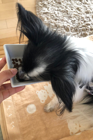 19062603.jpg