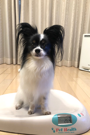 19062801.jpg