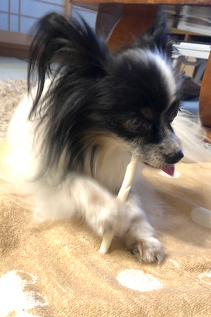 19062803.jpg