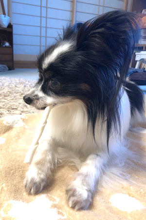 19062804.jpg