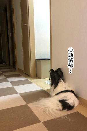 19062805.jpg