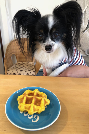 19062902.jpg