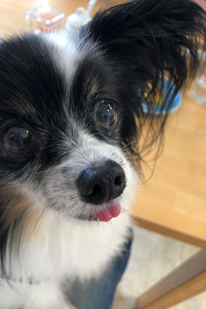 19062903.jpg