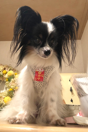 19063001.jpg