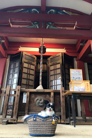 19063003.jpg