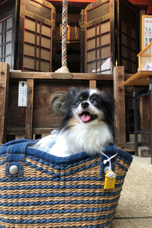 19063004.jpg
