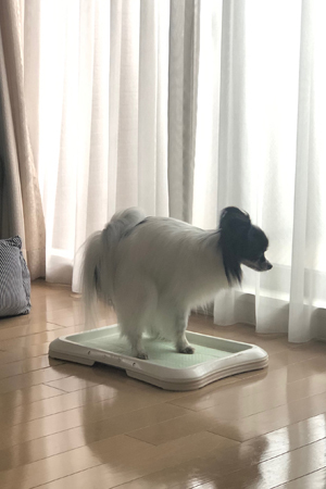 19063007.jpg