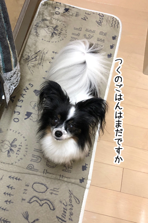 19070101.jpg