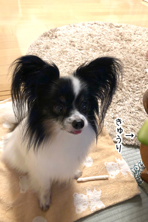 19070103.jpg
