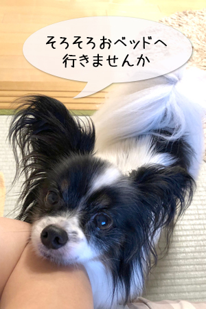 19070201.jpg