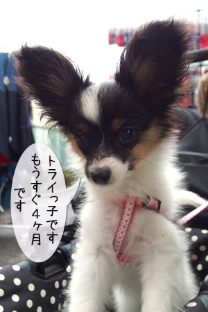 19070702.jpg