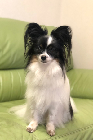 19071801.jpg