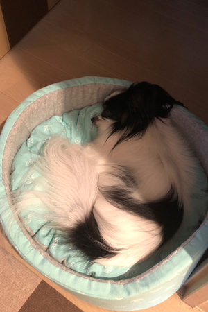 19071802.jpg