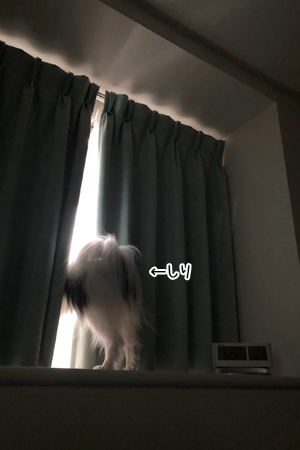 19071803.jpg