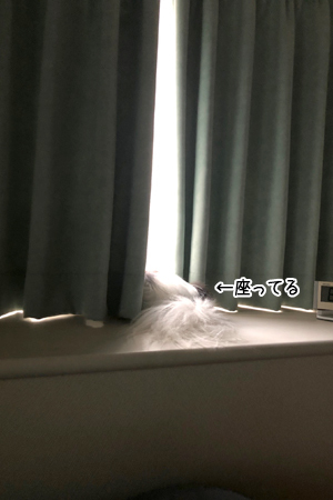 19071804.jpg